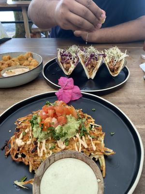   at Biribá in Puerto Viejo De Talamanca