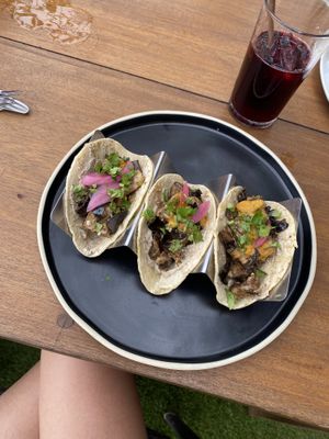   at Biribá in Puerto Viejo De Talamanca