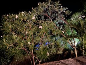 Outdoor patio  at Mirador in St Thomas