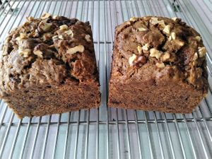 Vegan carrot cake loafs at GG's Coffee House and Bagels in Pokhara