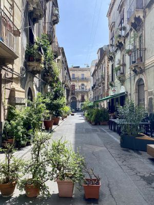   at PLANTE Lab in Catania