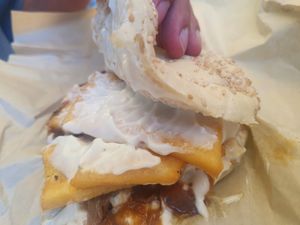 PPP at PLANTE Lab in Catania