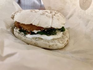   at PLANTE Lab in Catania