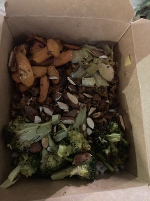   at PLANTE Lab in Catania