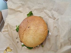  at PLANTE Lab in Catania