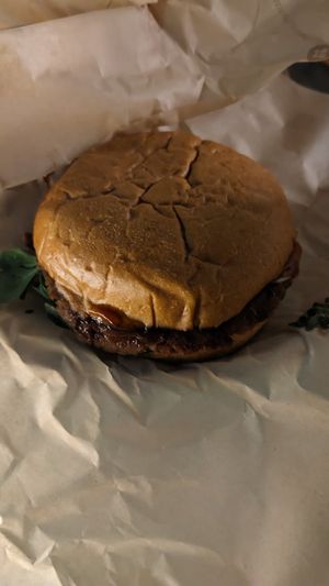  at PLANTE Lab in Catania