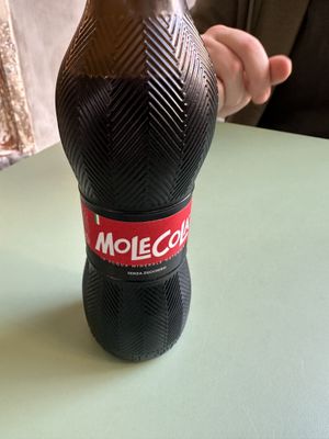   at PLANTE Lab in Catania