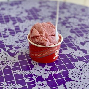 Vegan Stawberry  at Sweet Action Ice Cream in Denver