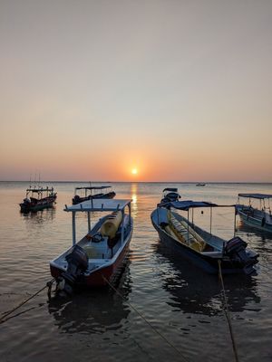  at Seawiches Lounge Bar in Roatan