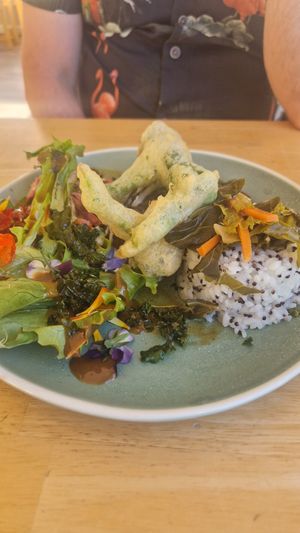 Sushi / all sorts dish at River Green Restaurant in Norwich