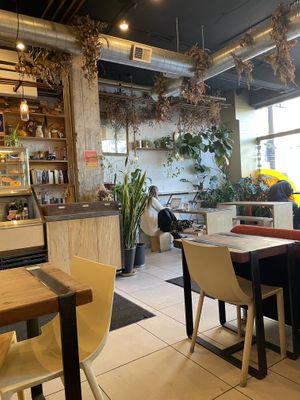 And great coffee  at Sol Cafe in Chicago