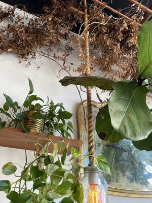 Cafe interior   at Sol Cafe in Chicago