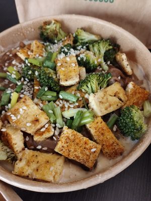 Thai tofu peanutbutter noodles at Future Diner in Yerevan