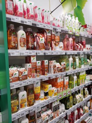  at Sunkost in Svolvaer