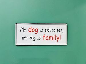   at Paladares Vegan in Braga