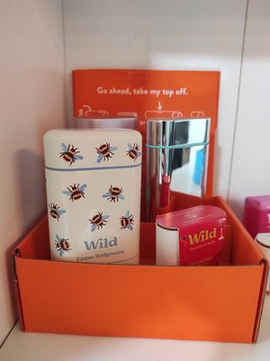 Wild at Paladares Vegan in Braga