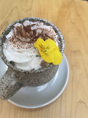 Hot chocolate   at The Green Canopy in Fitzroy