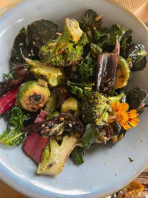  A roast veg and pesto salad - was 17$ for not a ton of flavour  at The Green Canopy in Fitzroy