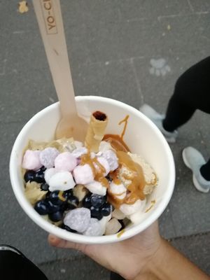 Vanilla frozen yoghurt with blueberry popping pearls, mochi, biscoff, cookie dough and a wafer at Yo-Chi in Surry Hills
