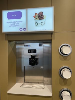   at Yo-Chi in Surry Hills