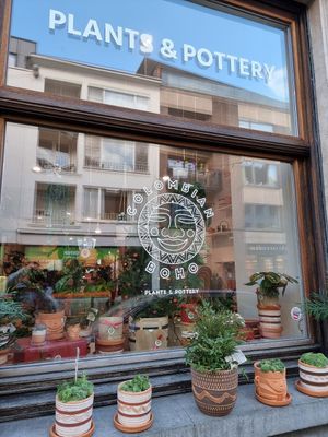 Together with plants/potterie shop at Berenice in Ghent