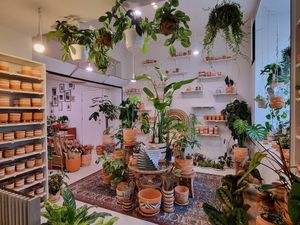 Together with plants/potterie shop at Berenice in Ghent