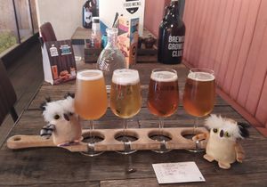 Vegan Beer Flight at BrewDog in Bath