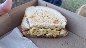 . at Later Gator in Kensington Park