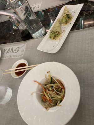   at Yang Asian in Bagnolo Mella