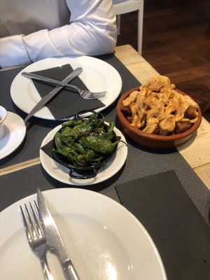 Patatas bravas veganas & pimientos de Padrón   at La Iguana  in Lloret De Mar