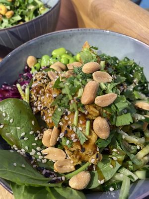 Planted chicken bowl with seaweed and nuts   at Wiki Wiki Poke in Berlin