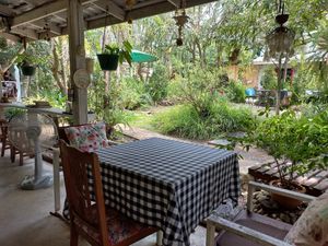 Seating in to the garden at Ozark by Food4Thought in Chiang Mai