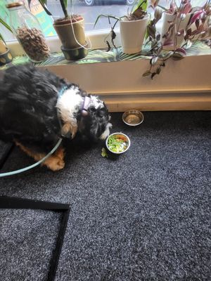  at 5Tara in Sheffield