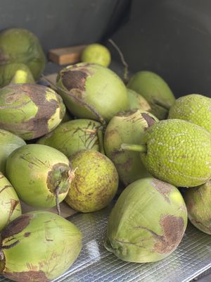 Only positive vibes   at Eco Holistic Oneness in Willingboro