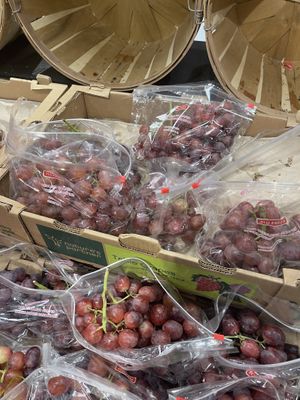 Seeded only   at Eco Holistic Oneness in Willingboro