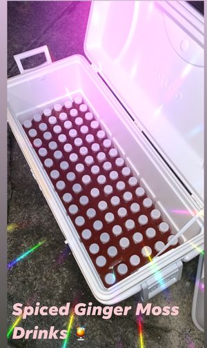 Spiced cold pressed ginger beer (non-alcoholic) #Veganuary at Eco Holistic Oneness in Willingboro