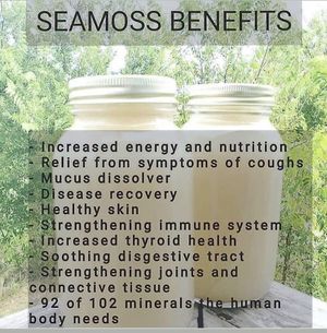 Infused juice with seamoss also for nutrient aid  #Veganuary at Eco Holistic Oneness in Willingboro