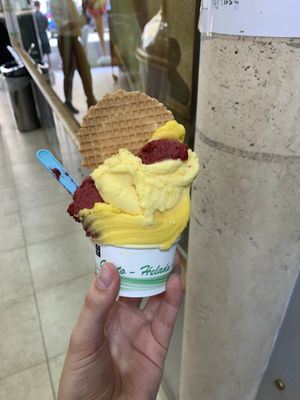   at Il Gelatone in Rome