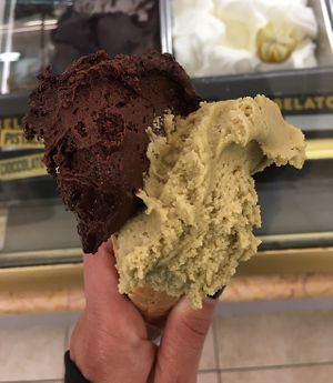 Chocolate y pistacho vegan  at Il Gelatone in Rome