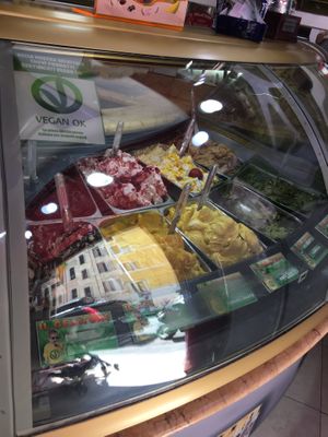 All vegan flavors  at Il Gelatone in Rome