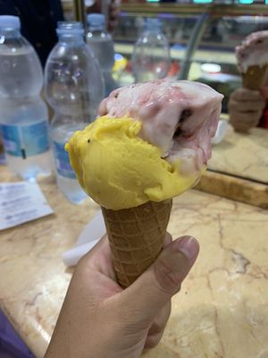 Vegan vanilla and mixed berry  at Il Gelatone in Rome