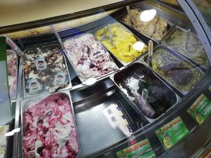 Vegan flavours at Il Gelatone in Rome