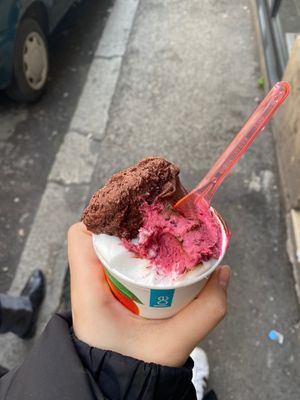Chocolate, berry and lemon  at Il Gelatone in Rome