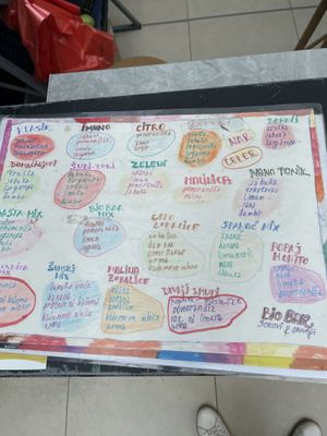   at Bio Bar in Belgrade