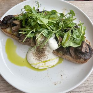   at Sycamore in Amersham