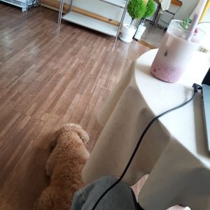 🥰🥰🥰 at DOTD Bakery in Seoul