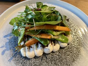 Sommerlicher Gemüsegarten (Sellerie, Champignon-Erde, Gartengemüse, Wiesenkräuter, Radieschen)  at ÜBERLAND in Braunschweig