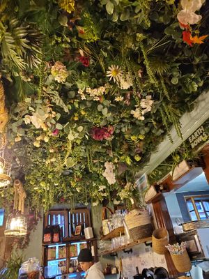  at Earth Bowls in Heidelberg