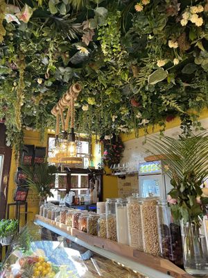   at Earth Bowls in Heidelberg