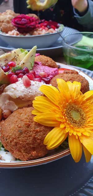 Falafelbowl at Earth Bowls in Heidelberg